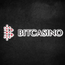 ビットカジノのロゴ